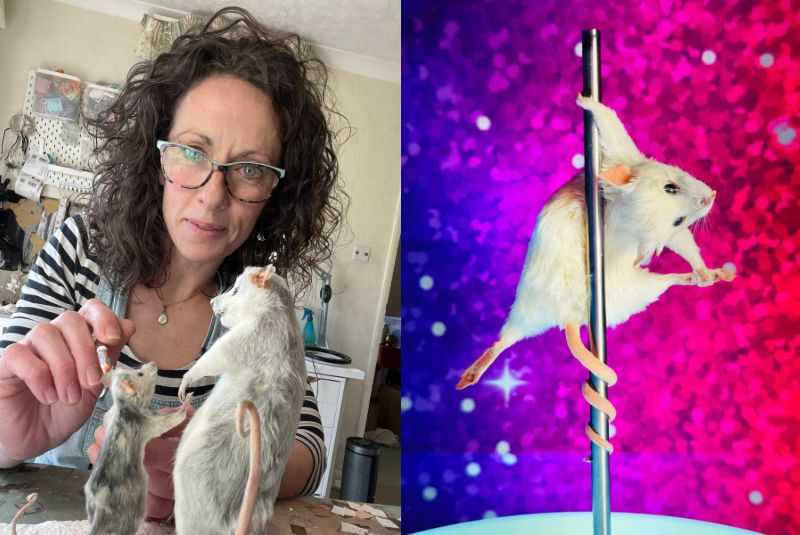 Taxidermist with pole-dancing mice says craft is being ‘modernised’ and people enjoy ‘shock and comedy value’ of her art
